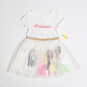 NWT Disney Princess Tulle Dress